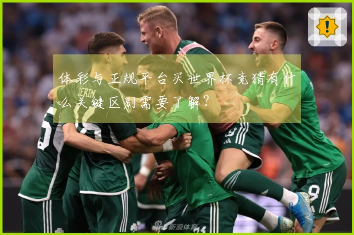 体彩与正规平台买世界杯竞猜有什么关键区别需要了解？