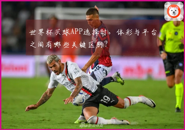 世界杯买球APP选择时，体彩与平台之间有哪些关键区别？