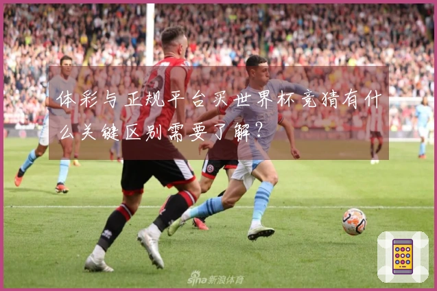 体彩与正规平台买世界杯竞猜有什么关键区别需要了解？