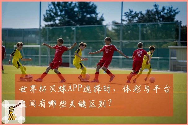 世界杯买球APP选择时,体彩与平台之间有哪些关键区别?